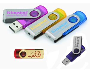 Kingston DataTraveler 101 USB Flash Drive  ԧѹ Ҥçҹ 2