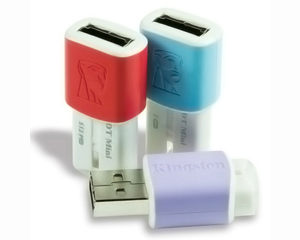 Kingston DataTraveler Mini Migo Edition USB Flash Drive  ԧѹ 1