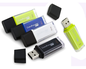 Kingston DataTraveler 102 USB Flash Drive  Ū Ҥ