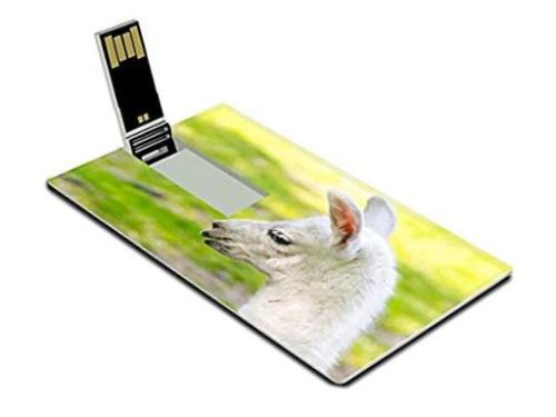 ѺԵ ͧ֡ҹ ѺԵ usb card ҹЪ ITU Telecom World