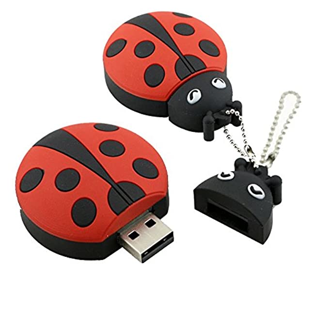 Pendrive USB-Flash-drive Ū  Premium