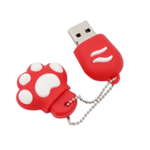 觷 Ūҧʹ Դ NIDA ѺԵ Flash Drive ٻ