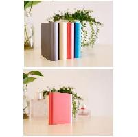 觼Ե PowerBank Ҵ 8400mAh