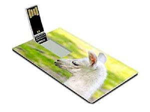 ѺԵ ͧ֡ҹ ѺԵ usb card ҹЪ ITU Telecom World